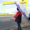 Belfast Cranes Art Umbrella - Stephen Whalley Artist